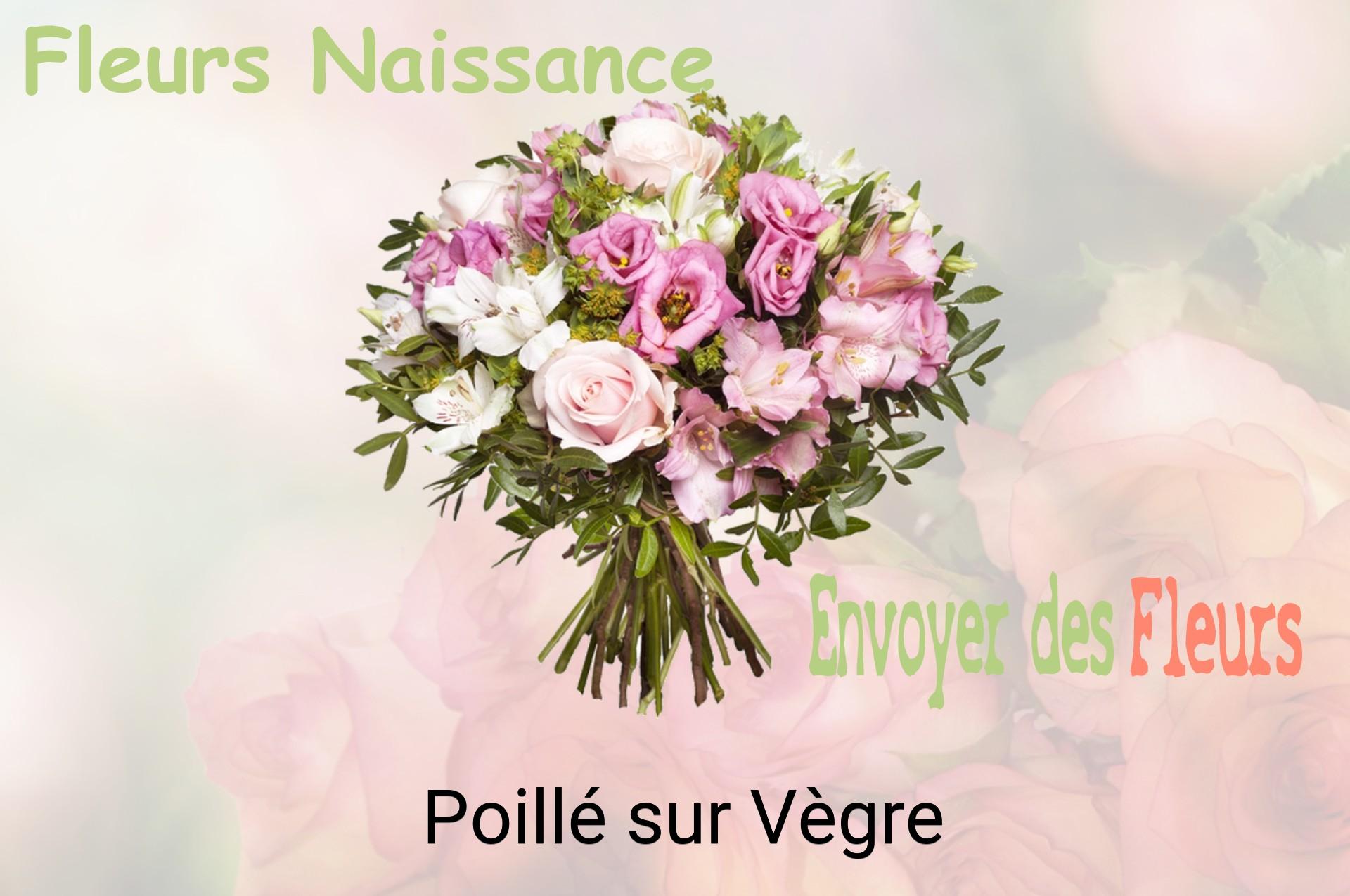 Bouquet de fleurs de naissance livré à Poillé-sur-Vègre